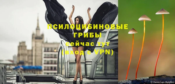 синтетический гашиш Медногорск