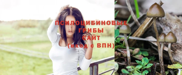 трава Лихославль