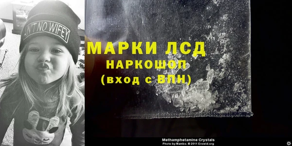 эйфоретик Магас