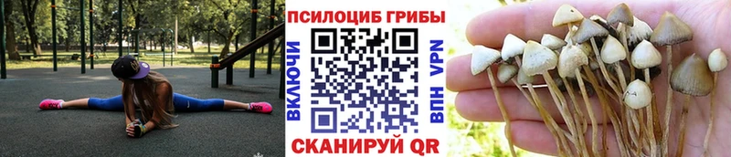 Галлюциногенные грибы прущие грибы  Новоаннинский 